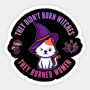 They Didn't Burn Witches, They Burned Women Sticker